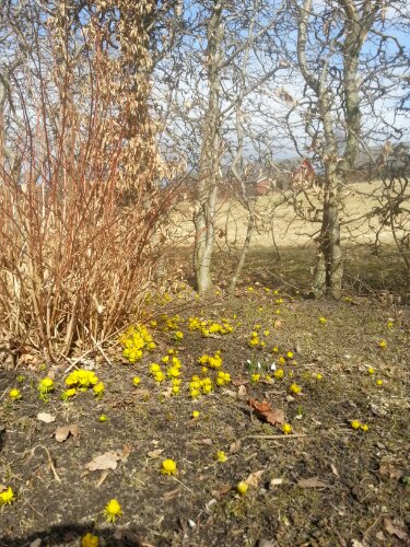 20130406_151331.jpg image