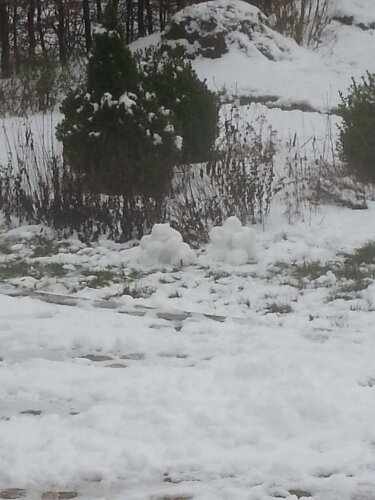 20131208_122349.jpg image