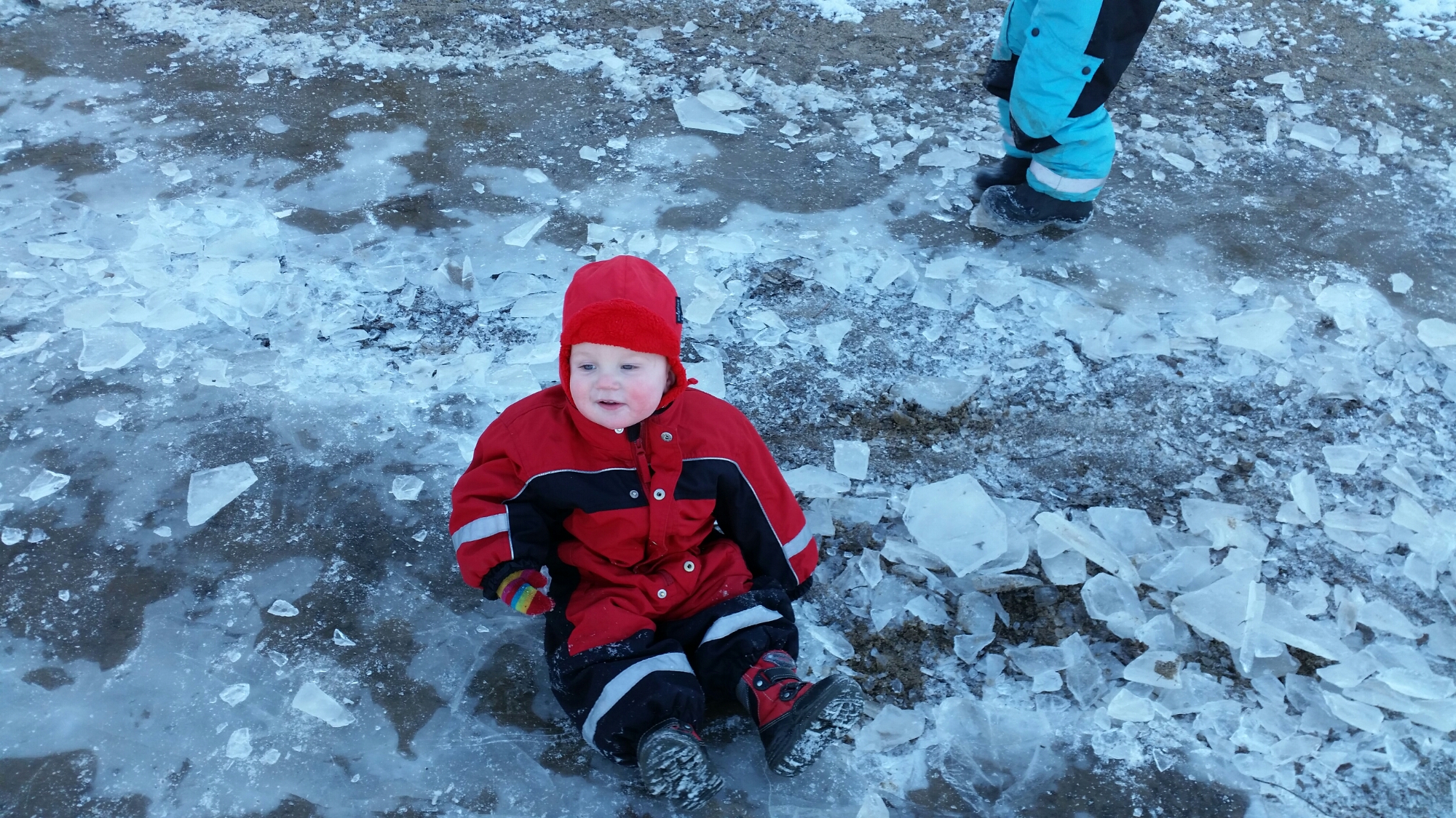 20141226_114131.jpg image