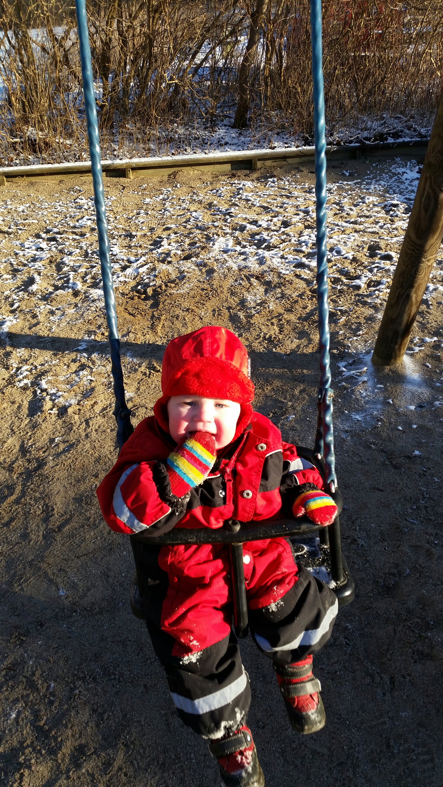 20141226_115526.jpg image