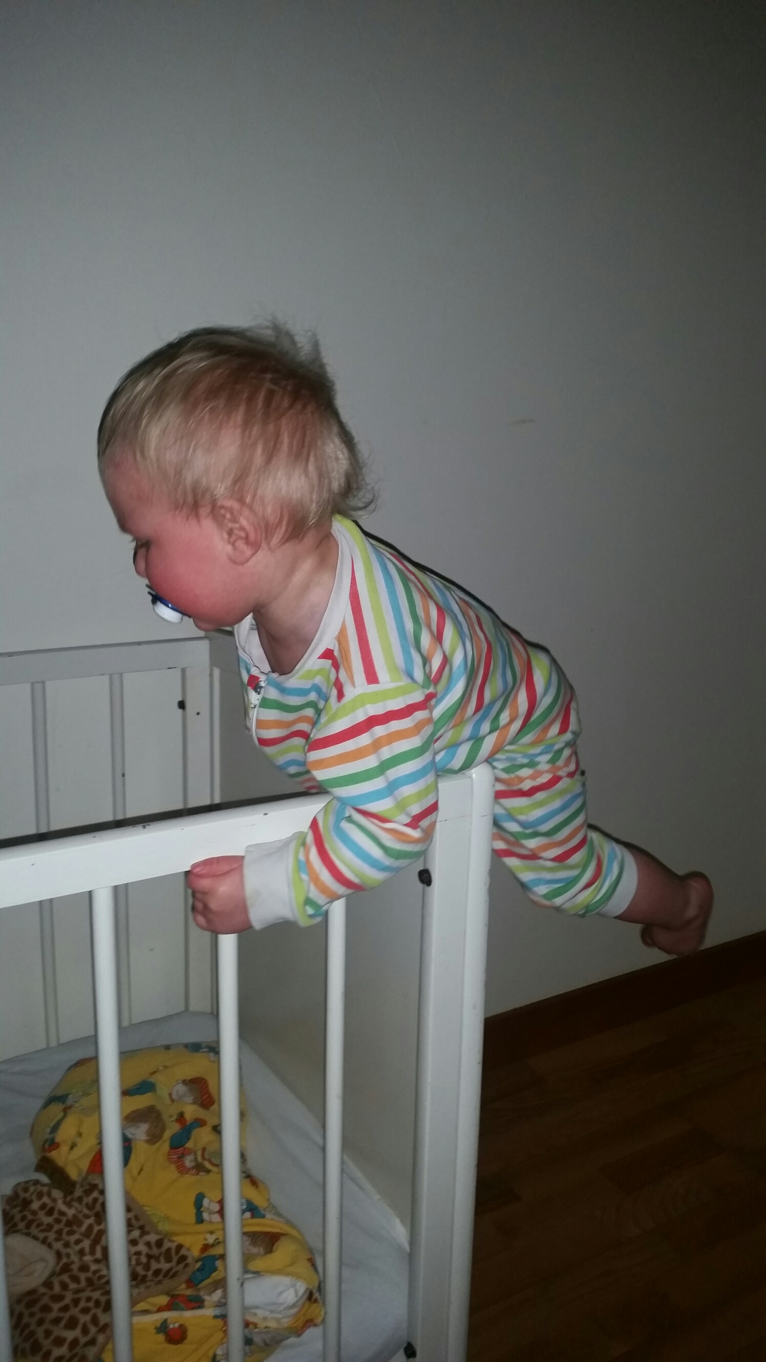 20150316_193605.jpg image