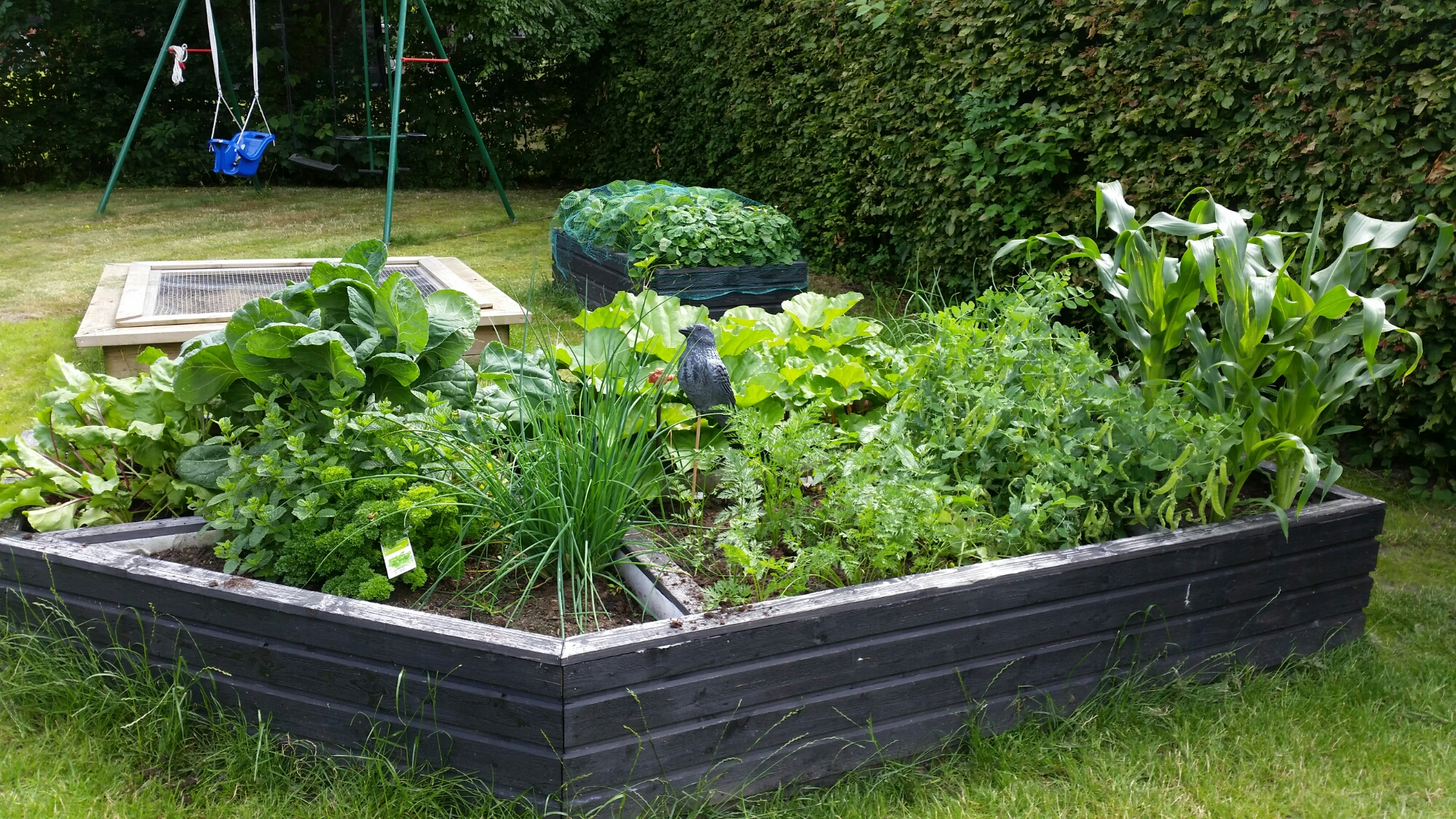 20150724_152707.jpg image